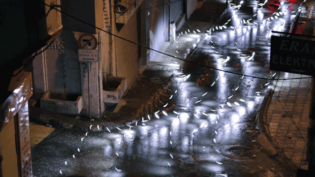 gallery/light_flood